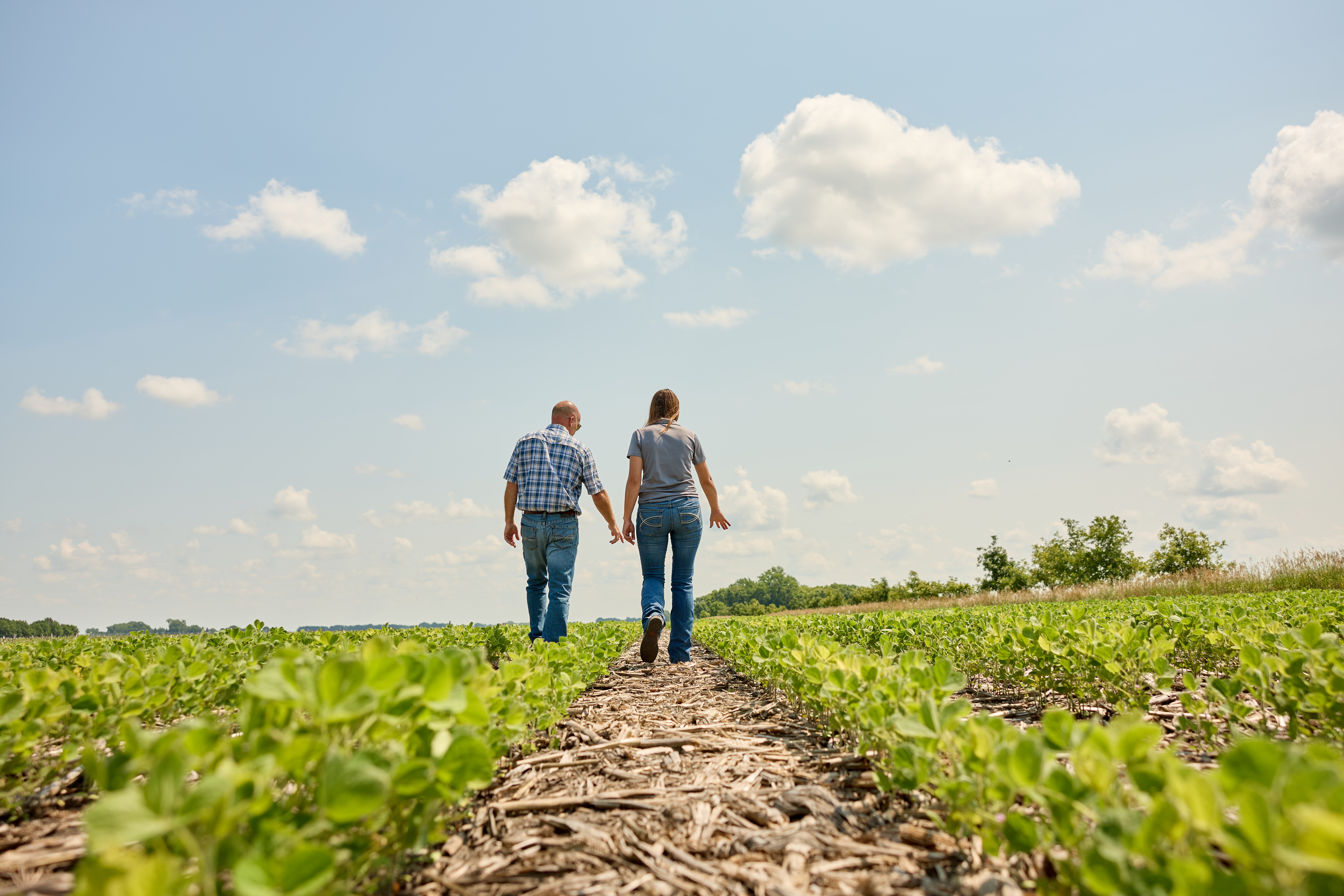 Man and woman walking through a field